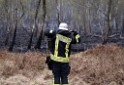 Waldbrand Wahner Heide Troisdorf Eisenweg P097